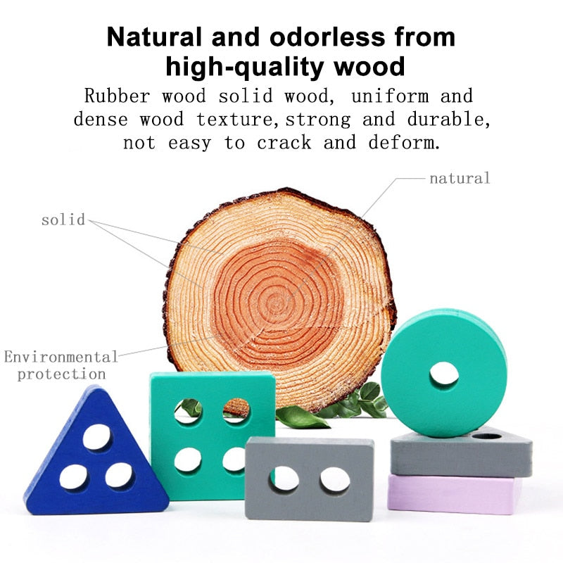 Montessori Toy Wooden Building Blocks Early Learning Educational Toys Color Shape Match Kids Puzzle Toys for Children Boys Girls